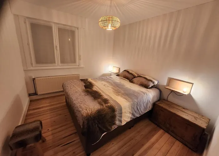 Toffe Woning Dichtbij Zee, Bos En Natuur